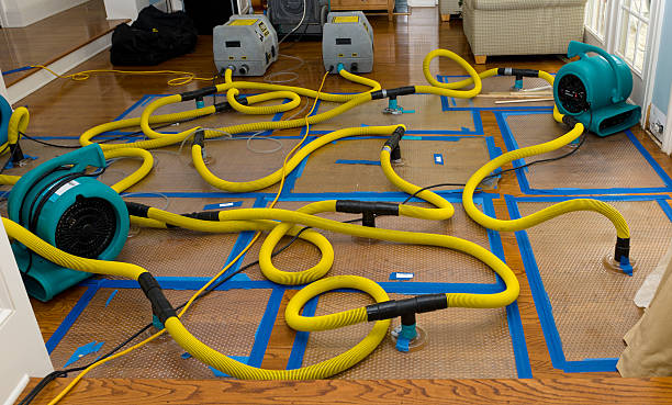 Professional Emergency Water Removal technician working in Weaverville, CA